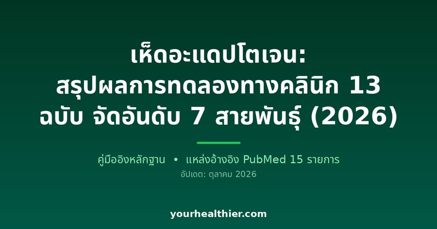 เห็ดอะแดปโตเจน: สรุปผลการทดลองทางคลินิก 13 ฉบับ จัดอันดับ 7 สายพันธุ์ (2026)