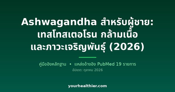 Ashwagandha สำหรับผู้ชาย: เทสโทสเตอโรน กล้ามเนื้อ และภาวะเจริญพันธุ์ (2026)