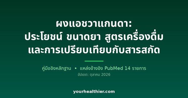 ผงแอชวาแกนดา: ประโยชน์ ขนาดยา สูตรเครื่องดื่ม และการเปรียบเทียบกับสารสกัด