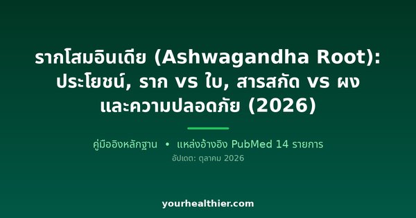 รากโสมอินเดีย (Ashwagandha Root): ประโยชน์, ราก vs ใบ, สารสกัด vs ผง และความปลอดภัย (2026)
