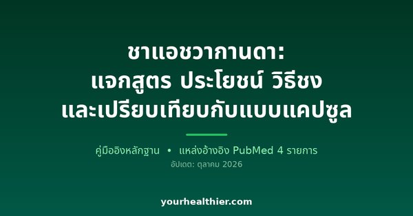 ชาแอชวากานดา: แจกสูตร ประโยชน์ วิธีชง และเปรียบเทียบกับแบบแคปซูล