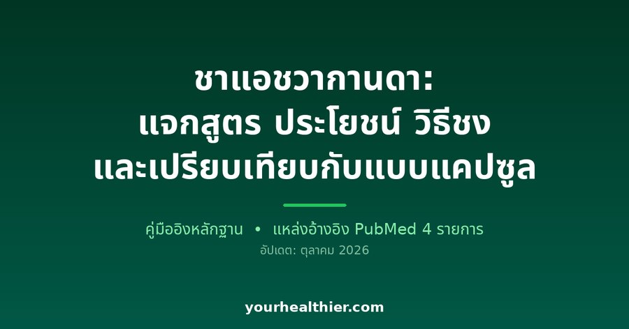 ชาแอชวากานดา: แจกสูตร ประโยชน์ วิธีชง และเปรียบเทียบกับแบบแคปซูล