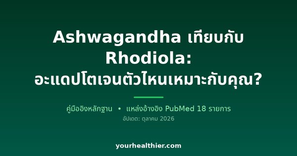 Ashwagandha เทียบกับ Rhodiola: อะแดปโตเจนตัวไหนเหมาะกับคุณ?