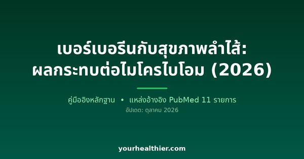 เบอร์เบอรีนกับสุขภาพลำไส้: ผลกระทบต่อไมโครไบโอม (2026)