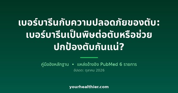 เบอร์บารีนกับความปลอดภัยของตับ: เบอร์บารีนเป็นพิษต่อตับหรือช่วยปกป้องตับกันแน่?