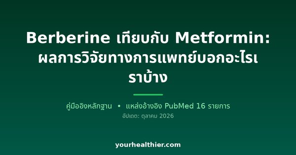 Berberine เทียบกับ Metformin: ผลการวิจัยทางการแพทย์บอกอะไรเราบ้าง