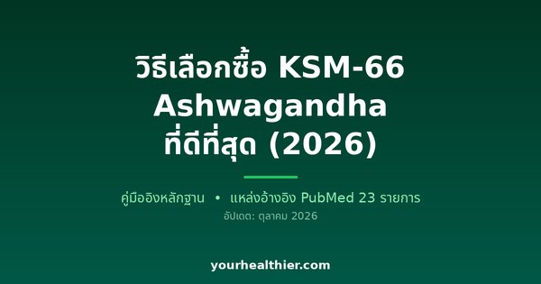 วิธีเลือกซื้อ KSM-66 Ashwagandha ที่ดีที่สุด (2026)