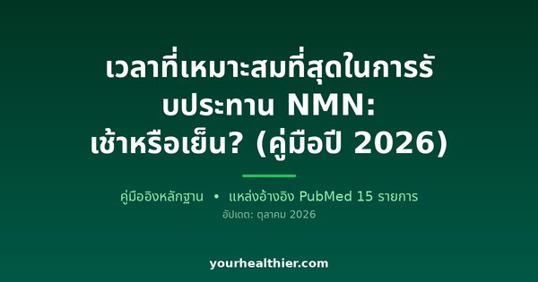 เวลาที่เหมาะสมที่สุดในการรับประทาน NMN: เช้าหรือเย็น? (คู่มือปี 2026)