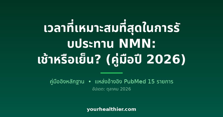 เวลาที่เหมาะสมที่สุดในการรับประทาน NMN: เช้าหรือเย็น? (คู่มือปี 2026)