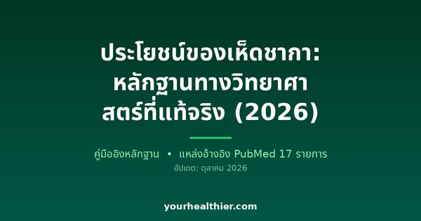 ประโยชน์ของเห็ดชากา: หลักฐานทางวิทยาศาสตร์ที่แท้จริง (2026)