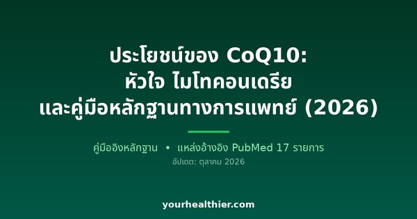 ประโยชน์ของ CoQ10: หัวใจ ไมโทคอนเดรีย และคู่มือหลักฐานทางการแพทย์ (2026)