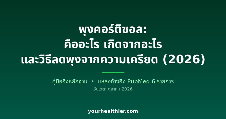 พุงคอร์ติซอล: คืออะไร เกิดจากอะไร และวิธีลดพุงจากความเครียด (2026)