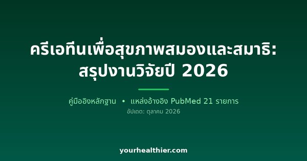 ครีเอทีนเพื่อสุขภาพสมองและสมาธิ: สรุปงานวิจัยปี 2026