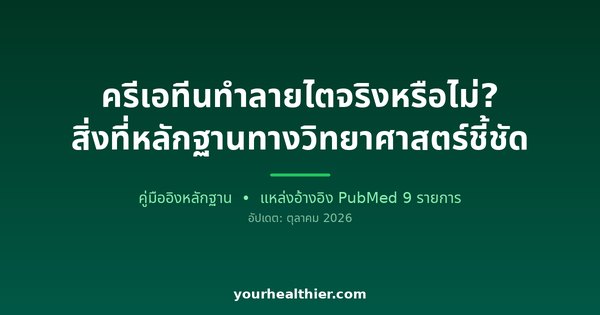 ครีเอทีนทำลายไตจริงหรือไม่? สิ่งที่หลักฐานทางวิทยาศาสตร์ชี้ชัด