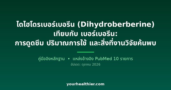 ไดไฮโดรเบอร์เบอรีน (Dihydroberberine) เทียบกับ เบอร์เบอรีน: การดูดซึม ปริมาณการใช้ และสิ่งที่งานวิจัยค้นพบ