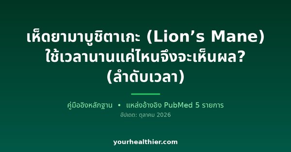 เห็ดยามาบูชิตาเกะ (Lion’s Mane) ใช้เวลานานแค่ไหนจึงจะเห็นผล? (ลำดับเวลา)