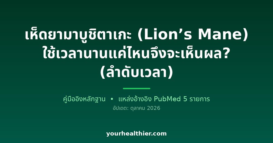 เห็ดยามาบูชิตาเกะ (Lion’s Mane) ใช้เวลานานแค่ไหนจึงจะเห็นผล? (ลำดับเวลา)