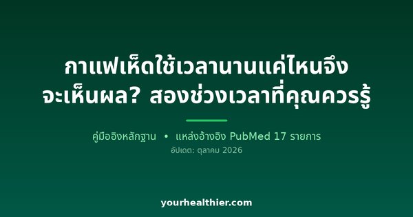 กาแฟเห็ดใช้เวลานานแค่ไหนจึงจะเห็นผล? สองช่วงเวลาที่คุณควรรู้
