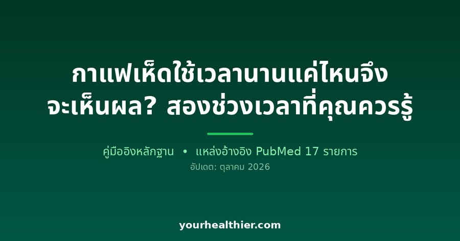 กาแฟเห็ดใช้เวลานานแค่ไหนจึงจะเห็นผล? สองช่วงเวลาที่คุณควรรู้