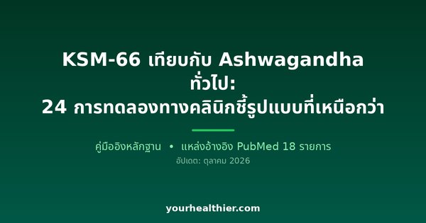 KSM-66 เทียบกับ Ashwagandha ทั่วไป: 24 การทดลองทางคลินิกชี้รูปแบบที่เหนือกว่า