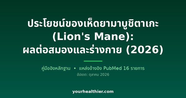 ประโยชน์ของเห็ดยามาบูชิตาเกะ (Lion’s Mane): ผลต่อสมองและร่างกาย (2026)