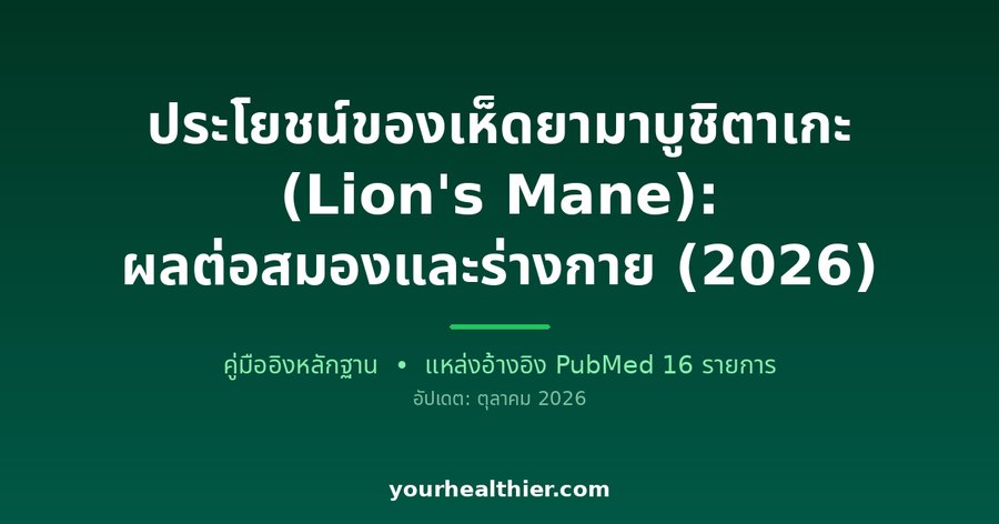 ประโยชน์ของเห็ดยามาบูชิตาเกะ (Lion’s Mane): ผลต่อสมองและร่างกาย (2026)