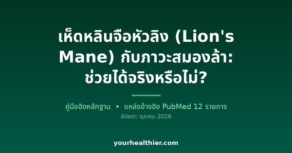 เห็ดหลินจือหัวลิง (Lion’s Mane) กับภาวะสมองล้า: ช่วยได้จริงหรือไม่?