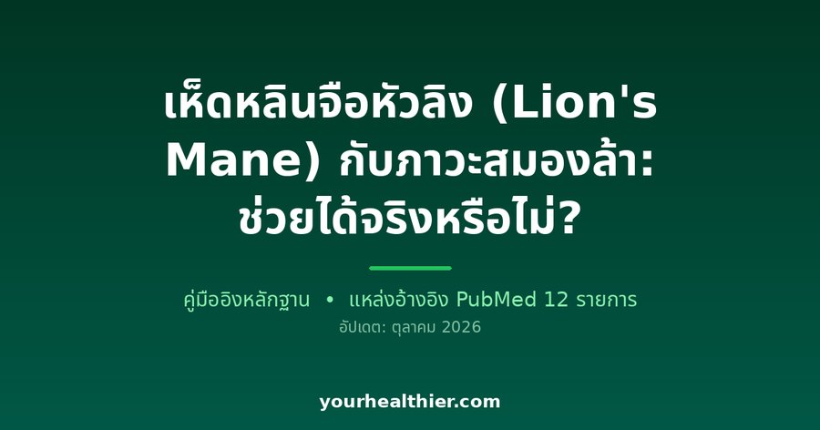 เห็ดหลินจือหัวลิง (Lion’s Mane) กับภาวะสมองล้า: ช่วยได้จริงหรือไม่?