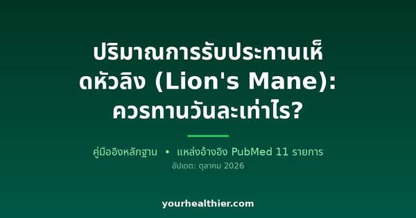 ปริมาณการรับประทานเห็ดหัวลิง (Lion’s Mane): ควรทานวันละเท่าไร?