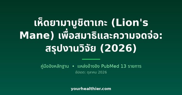 เห็ดยามาบูชิตาเกะ (Lion’s Mane) เพื่อสมาธิและความจดจ่อ: สรุปงานวิจัย (2026)