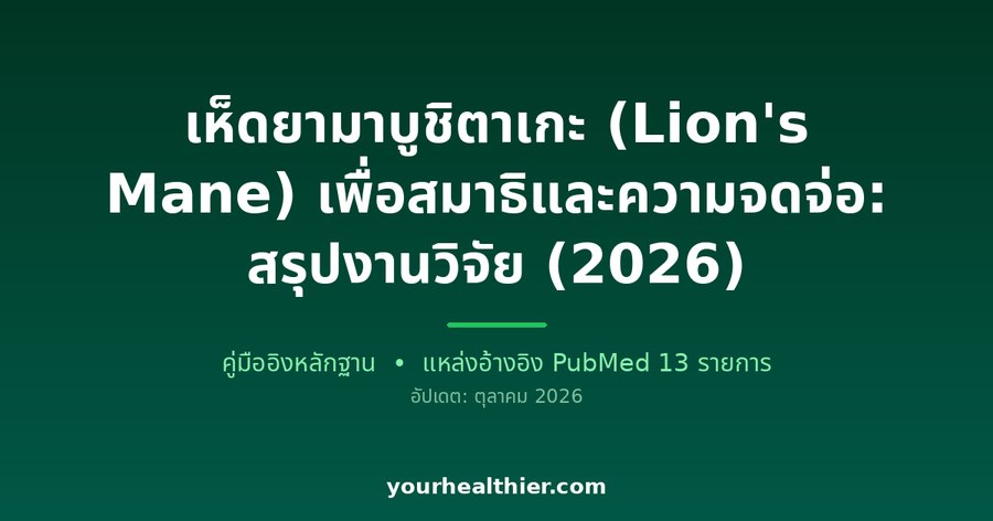 เห็ดยามาบูชิตาเกะ (Lion’s Mane) เพื่อสมาธิและความจดจ่อ: สรุปงานวิจัย (2026)