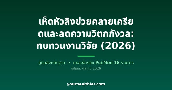 เห็ดหัวลิงช่วยคลายเครียดและลดความวิตกกังวล: ทบทวนงานวิจัย (2026)