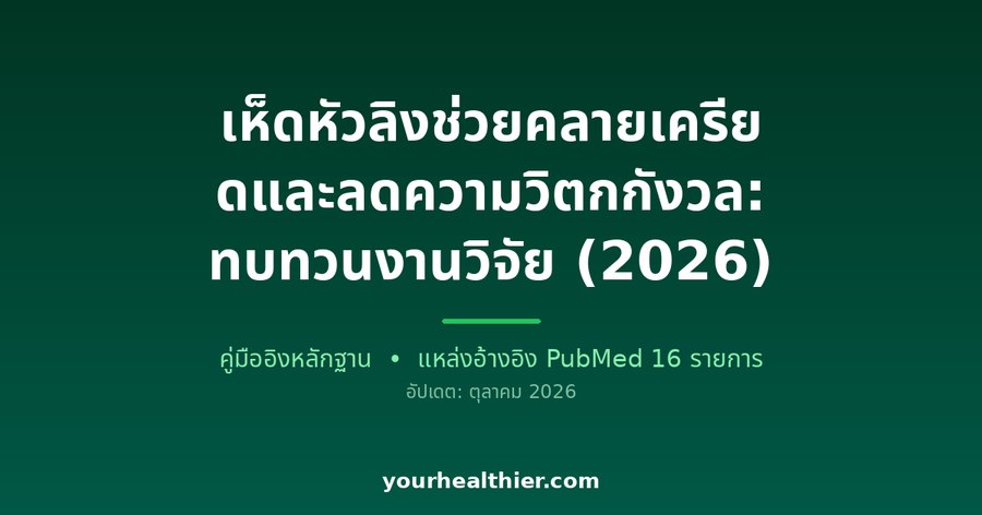 เห็ดหัวลิงช่วยคลายเครียดและลดความวิตกกังวล: ทบทวนงานวิจัย (2026)