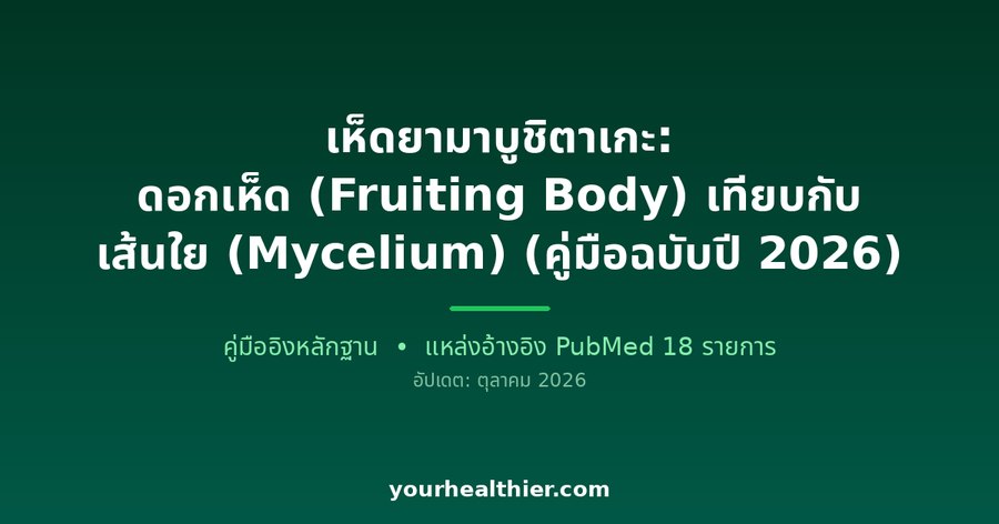 เห็ดยามาบูชิตาเกะ: ดอกเห็ด (Fruiting Body) เทียบกับ เส้นใย (Mycelium) (คู่มือฉบับปี 2026)