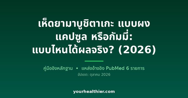 เห็ดยามาบูชิตาเกะ แบบผง แคปซูล หรือกัมมี่: แบบไหนได้ผลจริง? (2026)