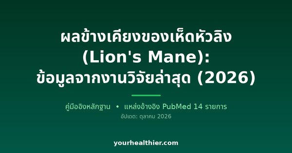 ผลข้างเคียงของเห็ดหัวลิง (Lion’s Mane): ข้อมูลจากงานวิจัยล่าสุด (2026)