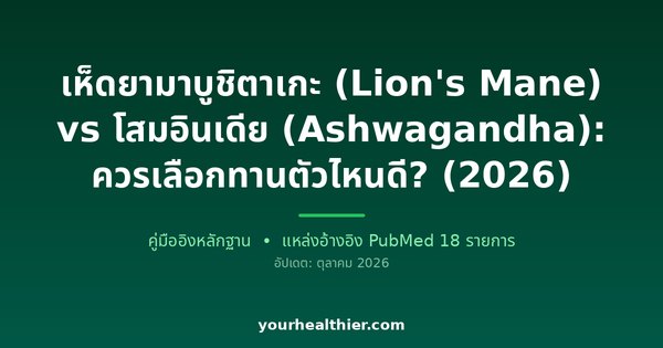 เห็ดยามาบูชิตาเกะ (Lion’s Mane) vs โสมอินเดีย (Ashwagandha): ควรเลือกทานตัวไหนดี? (2026)