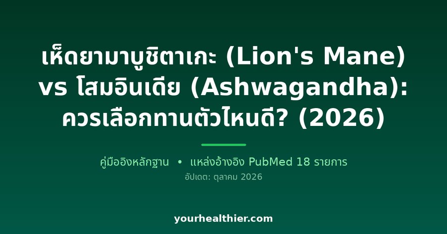 เห็ดยามาบูชิตาเกะ (Lion’s Mane) vs โสมอินเดีย (Ashwagandha): ควรเลือกทานตัวไหนดี? (2026)