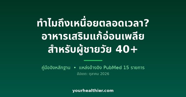 ทำไมถึงเหนื่อยตลอดเวลา? อาหารเสริมแก้อ่อนเพลียสำหรับผู้ชายวัย 40+