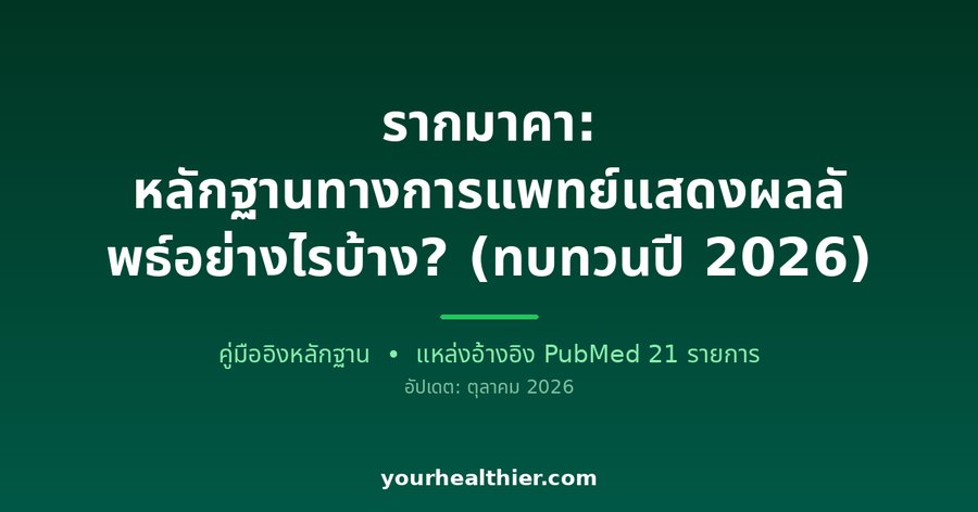 รากมาคา: หลักฐานทางการแพทย์แสดงผลลัพธ์อย่างไรบ้าง? (ทบทวนปี 2026)