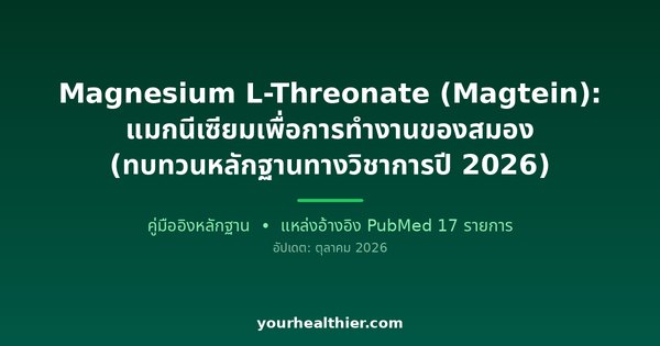 Magnesium L-Threonate (Magtein): แมกนีเซียมเพื่อการทำงานของสมอง (ทบทวนหลักฐานทางวิชาการปี 2026)