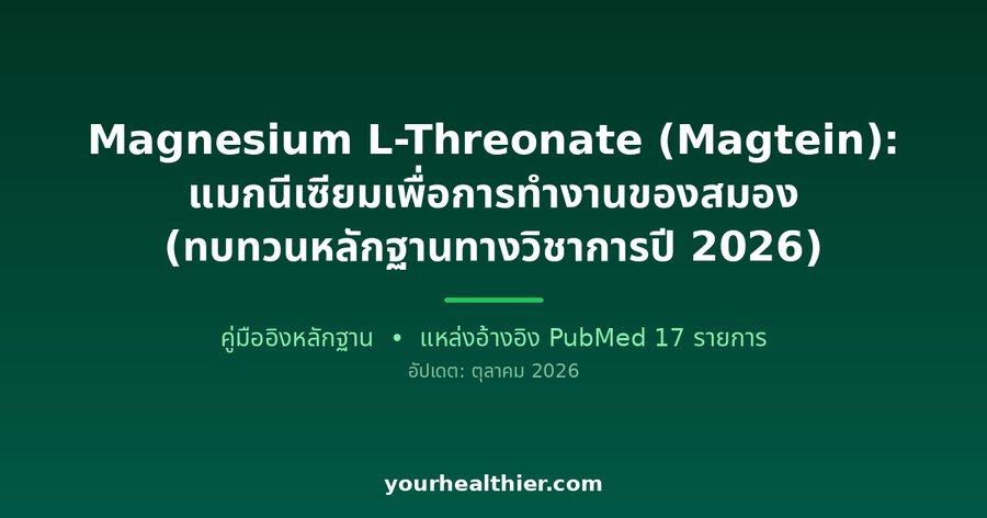 Magnesium L-Threonate (Magtein): แมกนีเซียมเพื่อการทำงานของสมอง (ทบทวนหลักฐานทางวิชาการปี 2026)