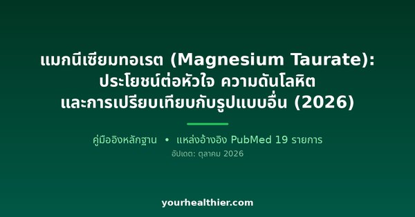 แมกนีเซียมทอเรต (Magnesium Taurate): ประโยชน์ต่อหัวใจ ความดันโลหิต และการเปรียบเทียบกับรูปแบบอื่น (2026)