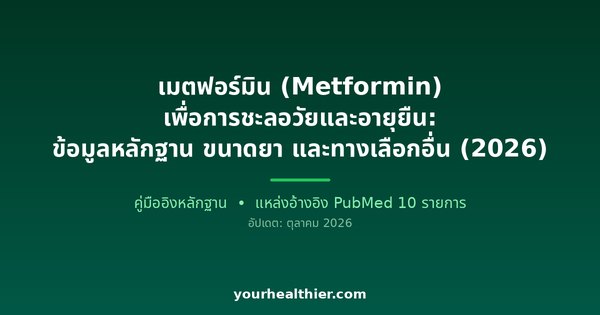 เมตฟอร์มิน (Metformin) เพื่อการชะลอวัยและอายุยืน: ข้อมูลหลักฐาน ขนาดยา และทางเลือกอื่น (2026)