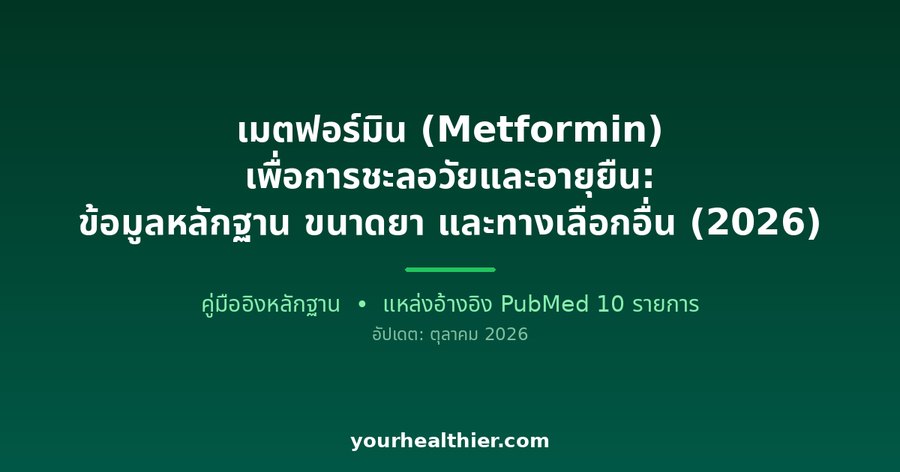 เมตฟอร์มิน (Metformin) เพื่อการชะลอวัยและอายุยืน: ข้อมูลหลักฐาน ขนาดยา และทางเลือกอื่น (2026)