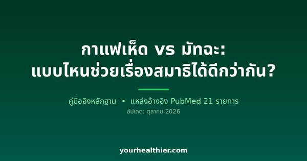 กาแฟเห็ด vs มัทฉะ: แบบไหนช่วยเรื่องสมาธิได้ดีกว่ากัน?