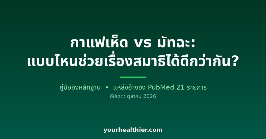 กาแฟเห็ด vs มัทฉะ: แบบไหนช่วยเรื่องสมาธิได้ดีกว่ากัน?