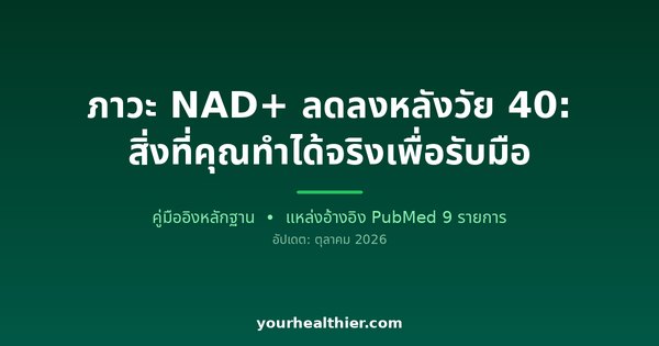 ภาวะ NAD+ ลดลงหลังวัย 40: สิ่งที่คุณทำได้จริงเพื่อรับมือ