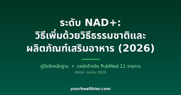 ระดับ NAD+: วิธีเพิ่มด้วยวิธีธรรมชาติและผลิตภัณฑ์เสริมอาหาร (2026)