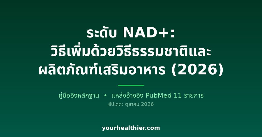 ระดับ NAD+: วิธีเพิ่มด้วยวิธีธรรมชาติและผลิตภัณฑ์เสริมอาหาร (2026)